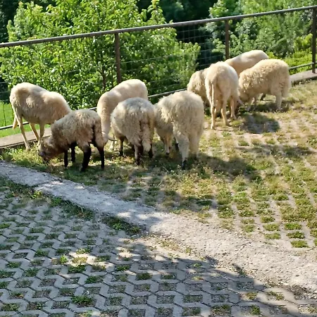 Vendégház Bé-la *