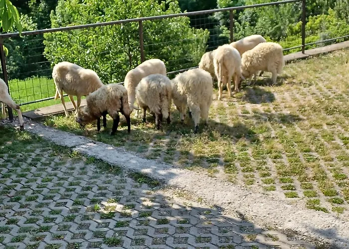 Vendégház Bé-la 3*