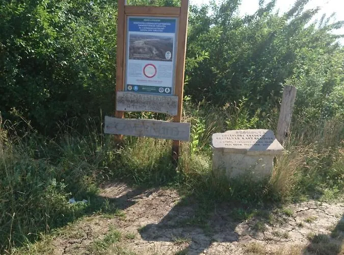 Bé-la 3*